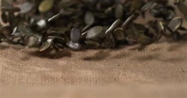 Yavaş Çekim, Geniş Yavaş Kabak Tohumları Şelalesi, Çuval Çuvalından Dökülen Tohumların Lowangle Manzarası, Yığınla