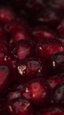 Taze kırmızı meyveler bir kasede durulanıyor. Su damlacıkları yüzeyde parıldıyor. Etkinlik hasat mevsiminde bir çiftlikte gerçekleşiyor. Odak noktası canlı meyveler..