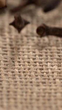 Süper yavaş çekim, Macro Clove Çuval bezine tünemiş Sığ Alan Derinliği, Tek Kurutulmuş Bud