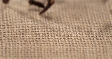 Süper yavaş çekim, Çuval bezine Düşen Karanfiller, Bireysel Karanfilin Süper Yavaş Hareketli Makro Görüntüsü