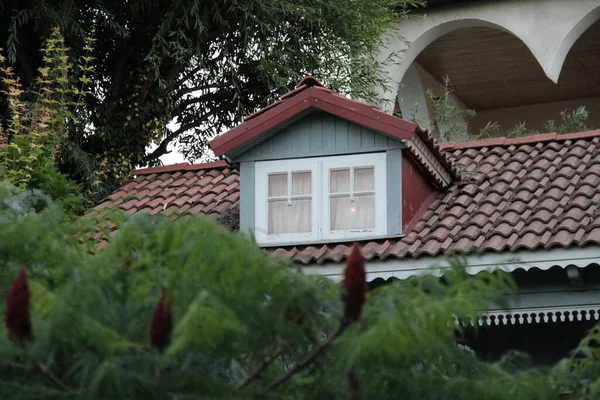 Tanaman Bunga Dan Pohon Jendela Rumah — Stok Foto