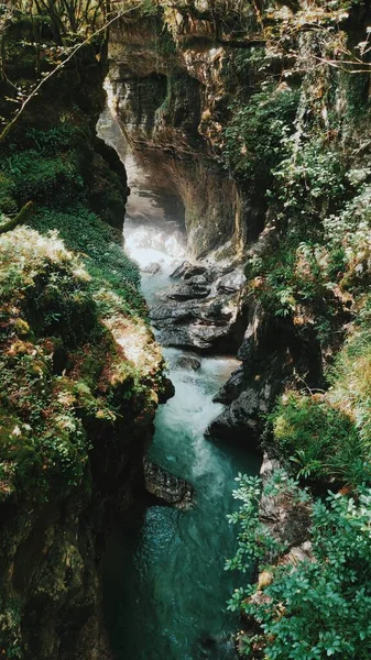 Martvili Canyon Natuurrivier Bergen Georgia Sakartvelo — Stockfoto