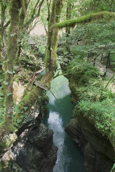 Martvili Kanyonu Dağlardaki Doğa Nehri Georgia Sakartvelo — Stok fotoğraf