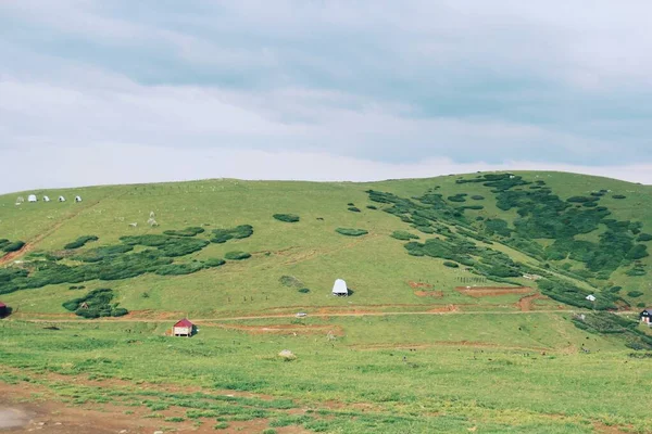Dağlardaki yeşil kırsal alan, Georgia Gomis mta
