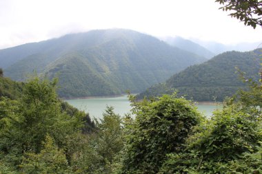 Kafkas Dağları ve İnguri, Gürcistan dağları, Svaneti dağları, yeşil çayır ağaçları ve bitkiler