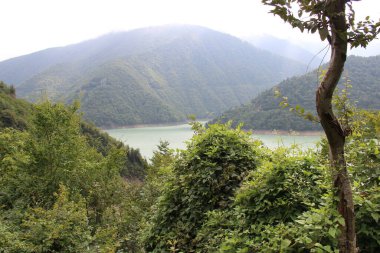 Kafkas Dağları ve İnguri, Gürcistan dağları, Svaneti dağları, yeşil çayır ağaçları ve bitkiler