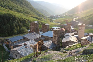köpek ve Gürcistan köyü Ushguli, kırsal alan