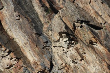 Kayalık dağlar yüzey arkaplanı