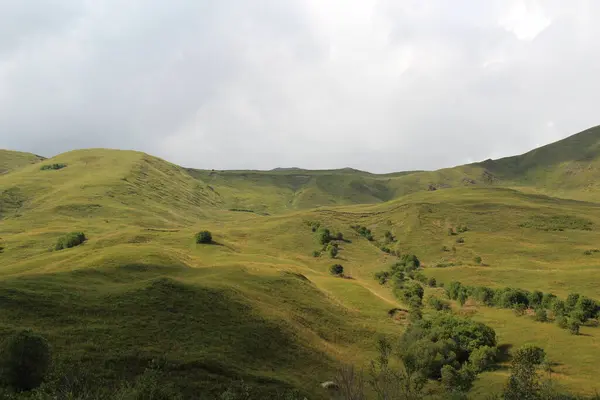 Cáucaso Montanhas Montanhas Georgianas Montanhas Svaneti Prados Verdes Plantas — Fotografia de Stock