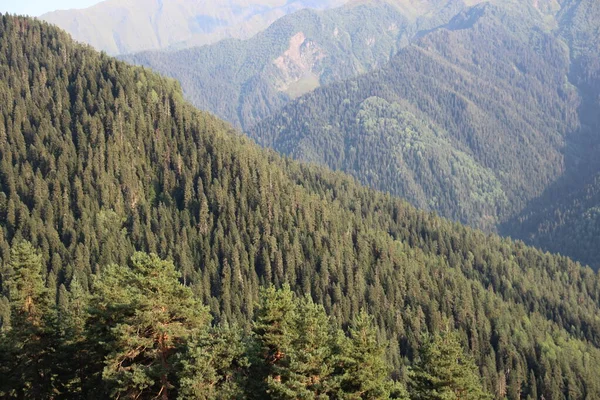 Kavkazské Hory Gruzínské Hory Svaněcké Hory Zelené Louky Rostliny — Stock fotografie