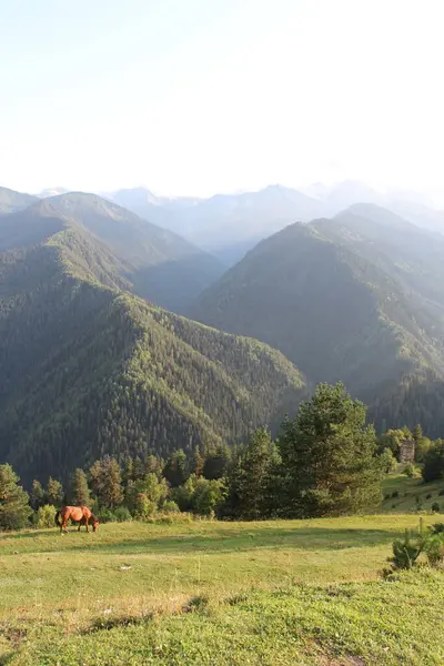 Kafkasya Dağları Gürcistan Dağları Svaneti Dağları Çayırdaki — Stok fotoğraf