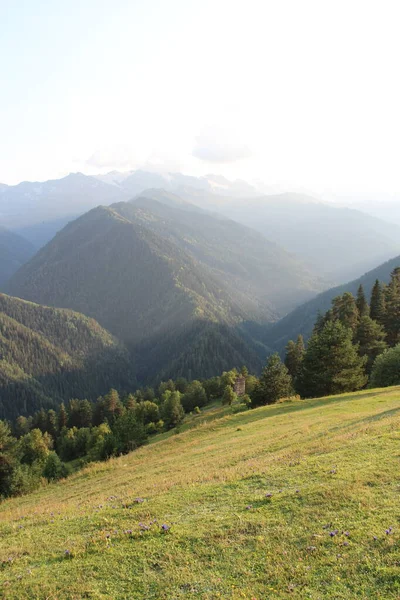 Kafkas Dağları Gürcistan Dağları Svaneti Dağları Yeşil Çayır Ağaçları Bitkileri — Stok fotoğraf