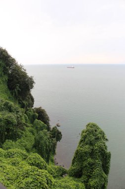 Su üstünde yüzen gemi, çiçek ağaçları, Batum botanik bahçesi.