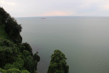 Su üstünde yüzen gemi, çiçek ağaçları, Batum botanik bahçesi.