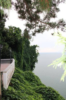 Karadeniz ve çiçek ağaçları, Batum Botanik Bahçesi