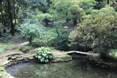 Yazın Batumi Botanik Bahçesi, yeşil bitki örtüsü ve ağaçlar 