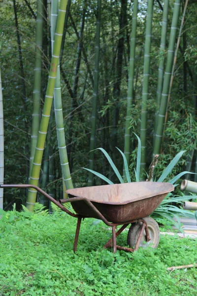 Pohon Bambu Dan Gerobak Grunge Kebun — Stok Foto