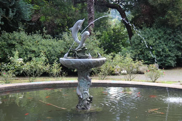 緑の花の植物や木やイルカの彫刻と噴水と夏の庭 — ストック写真