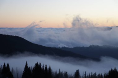 Karla kaplı Ukrayna Karpatları lavanta günbatımının altında dinlenirken, sis örtüleri alçak vadiler ve yüksek köknar ağaçları açık mavi bir sabah karşısında duruyor..