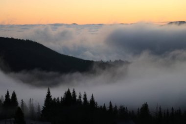 Karla kaplı Ukrayna Karpatları lavanta günbatımının altında dinlenirken, sis örtüleri alçak vadiler ve yüksek köknar ağaçları açık mavi bir sabah karşısında duruyor..