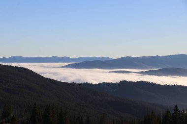 Ukrayna Karpatlarının karlı zirveleri yumuşak bir mavilikten mavi gün ışığına, sis dolu vadilere ve sık yeşil ormanlara geçiş yapıyorlar..