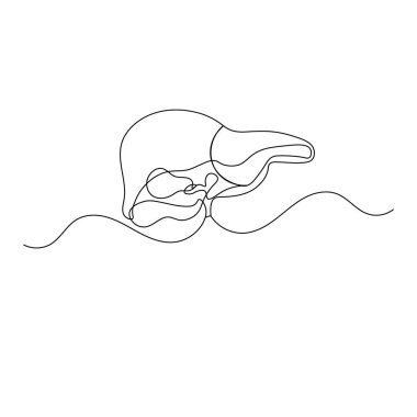 Karaciğer anatomisi simgesi, ana hatlı vektör illüstrasyonunun sürekli tek çizgi çizimi