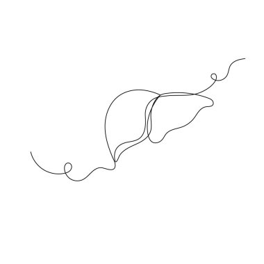 Karaciğer anatomisi simgesi, ana hatlı vektör illüstrasyonunun sürekli tek çizgi çizimi