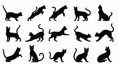 Kara Kedi Silüetleri Cadılar Bayramı Koleksiyonu