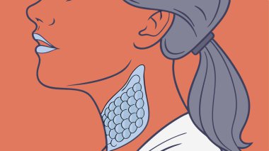 A detailed diagram illustrating the human thyroid gland's anatomy and its precise location within the neck.