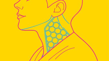 İnsan tiroid bezinin, eşsiz bir bal peteği deseni ve kalın renkler içeren stilize edilmiş bir grafiksel tasviri. Bu tıbbi diyagram eğitim ve sağlık farkındalığı için harikadır..