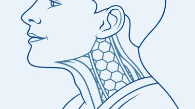 A concise blue line art illustration detailing the side profile of a human head and neck, highlighting key anatomical structures like the thyroid cartilage, larynx, and surrounding muscle tissues.