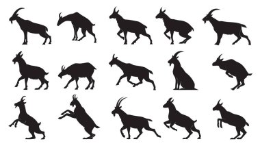 Çeşitli pozlar ve eylemlerle keçileri tasvir eden siyah siluet çizimlerini keşfedin. Bu detaylı hayvan siluetleri yürüme, koşma, zıplama ve dinlenme de dahil olmak üzere farklı yürüyüşler ve hareketler sergiliyor.