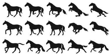 On beş siyah at siluetinden oluşan çarpıcı bir koleksiyon çeşitli dinamik pozlar, yürüyüşler ve koşu, yürüyüş ve yetiştirme gibi hareketler sergiliyor. Binicilik, hayvan ya da tasarım projeleri için idealdir, bu zarif vektör çizimleri powe 'u yakalar