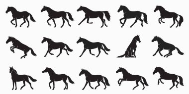 Çeşitli zarif pozları ve hareketli yürüyüşleri tasvir eden çarpıcı bir siyah at silueti koleksiyonu keşfedin. Bu çok yönlü vektör çizimleri binicilik projeleri, sanat tasarımları ve hayvan temalı dekorlar için mükemmeldir..
