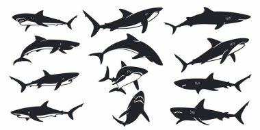Siyah köpekbalığı silueti koleksiyonunu araştır. Bu çizimler, yüzmekten sıçrayan ve dişlerini gösteren çeşitli köpekbalığı türlerinin dinamik hareketlerini ve güçlü varlıklarını gösteriyor..