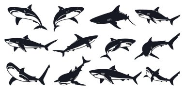 Siyah siluet köpekbalığı vektör çizimlerinden oluşan çok yönlü bir koleksiyon keşfedin. Bu stilize tasarımlar çeşitli yüzme pozisyonlarında köpekbalıklarını tasvir eder, logolar, deniz temalı grafikler veya yaratıcı tasarım projeleri için mükemmeldir..