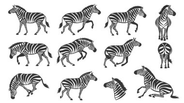 Durmak, yürümek, koşmak ve dinlenmek gibi çeşitli pozlar veren siyah ve beyaz zebra çizimlerinden oluşan bir koleksiyon. Her tasarım kendine özgü çizgiler içerir..