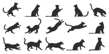 Canlı bir siyah kedi siluet koleksiyonu oyun, zıplama, esneme ve oturma pozları gibi çeşitli dinamik kedi pozları sergiliyor. Hayvan tasarımı ve projeleri için mükemmel.