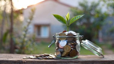 Finansal büyümeyi gösteren kavramsal bir görüntü, küçük bir bitkinin bozuk para kavanozundan filizlendiği, tasarrufların ve yatırımların gelecekteki refah ve güvenliğe dönüşme potansiyelini sembolize eden.