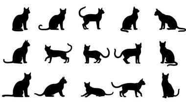 Oturmak, esnemek ve yürümek de dahil olmak üzere çeşitli pozlarda siyah kedi siluetleri koleksiyonu. Bu vektör çizimleri tasarım elementleri, çıkartmalar veya grafik sanatı için mükemmeldir..