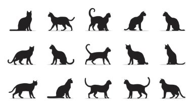Oturma, esneme ve yürüme gibi çeşitli pozlarda siyah kedi siluetlerinin kapsamlı bir koleksiyonu. Grafik tasarımı ve kedi temalı projeler için ideal.