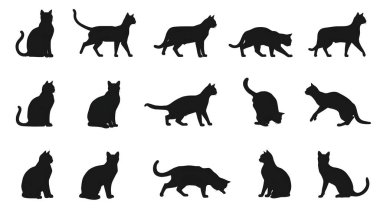 Oturma, yürüme ve esneme gibi çeşitli pozisyonlardaki siyah kedi siluetlerinin kapsamlı bir koleksiyonu. Minimalist grafik tasarımı ve evcil hayvan temalı çizimler için mükemmel..
