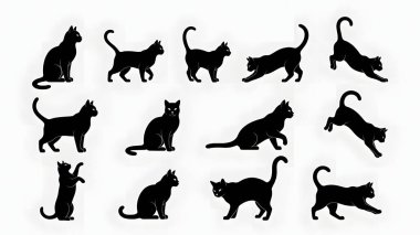 Oturma, esneme ve oyun da dahil olmak üzere çeşitli pozlarda siyah kedi siluetleri koleksiyonu. Minimalist kedi temalı tasarımlar ve yaratıcı grafik projeleri için mükemmel.