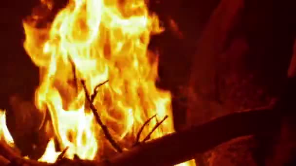 feu de camp feu de camp 