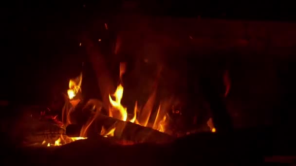 焚き火キャンプファイヤー火 — ストック動画