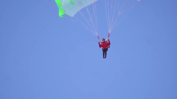 An accurate skydiver with parachute slowly landing on ground controlling slings — Stock Video
