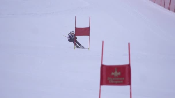 Αθλητής κυλά κομμάτι με ταχύτητα για σκι παρακάμπτοντας σημαίες κολλήσει στο χιόνι αργή κίνηση — Αρχείο Βίντεο