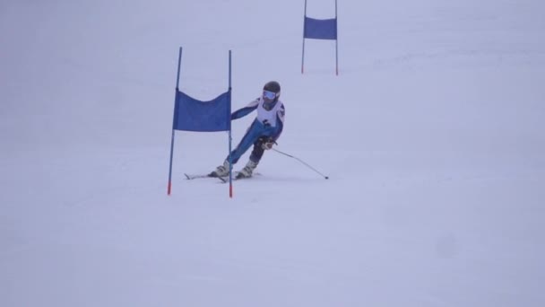 Idrottsman rullar spår i hastighet på skida förbi flaggor fastnat i snö slowmotion — Stockvideo