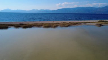 Flamingolar ve kuğular gibi nadir kuşlar Yunanistan 'da deniz ile kumlu sahil arasında bir gölde dinlenirler. Dağların manzarası ve berrak plaj Akdeniz 'in güzelliğini vurguluyor..