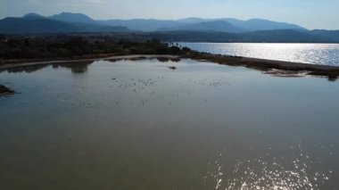 Yumuşak akşam ışığında, Yunanistan 'da kuşlar sığ sularında dinlenirken bir göl parlıyor. Dağlar ve ormanlar Akdeniz manzarasındaki ufkun ana hatlarını çiziyor.